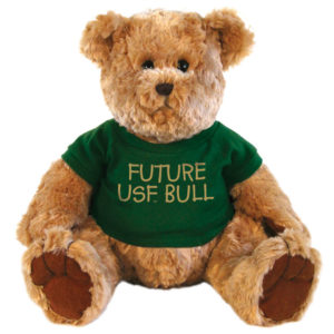 CHELSEA TEDDY BEAR Stuffed Animal w/ Letterman Jacket 12 PLUSH TOY NEW NWT